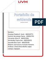 Portafolio de Evidencias