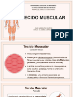 Slide Tecido Muscular
