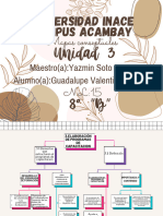 Mapa Conceptual Unidad 3 (Guadalupe Valentín Valentín