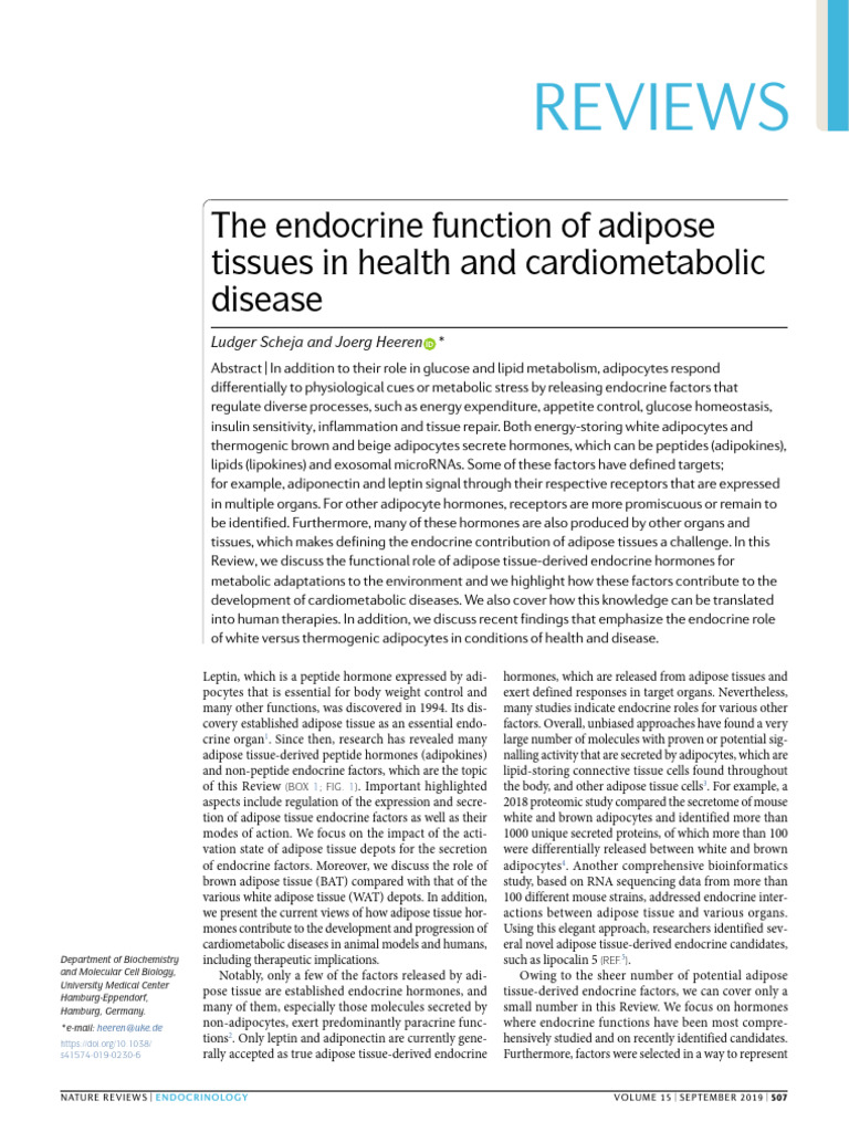 Scheja & Heeren 2019 The Endocrine Function of Adipose Tissues in ...