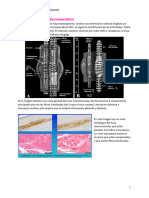 Clase 3 Fisiología