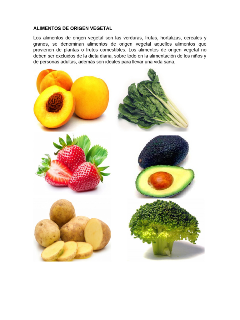 origen-animal-vegetal-y-mineral-pdf