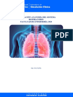 Exploración Anatomía Sistema Respiratorio
