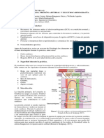 Práctica 2. Pulso Presión Arterial y Ecg