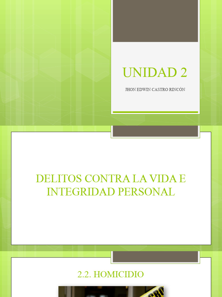 Delitos Contra La Vida e Integridad Personal | PDF | Homicidio ...