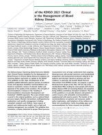 KDIGO 2024 CKD Guideline Executive Summary | PDF | Chronic Kidney ...