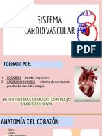 Sistema Carciovascular