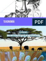 TAXONOMÍA