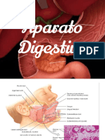 Cavidad Oral y Glandulas Salivales