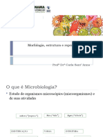 Aula 1 - Morfologia, Estrutura e Reprodução Das Bacterias