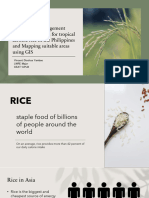 Developing Management Recommendations For Tropical Aerobic Rice in The Philippines and Mapping Suitable Areas Using GIS