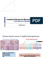 Final DR Septiman Luminal ABC From