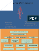 El Sistema Circulatorio