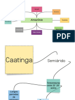 Biomas Brasileiros