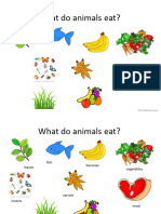 What Do Animals Eat