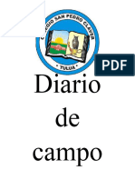 Diario de Campo