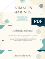 Animales Marinos