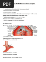 Estenose Esofágica: Causas e Tratamento | PDF | Especialidades médicas ...