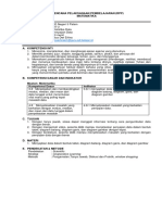 RPP Diagram 1