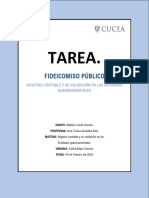 Tarea Fideicomiso Público - Mallely Lomeli Chacon