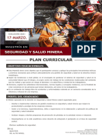 Seguridad y Salud Minera