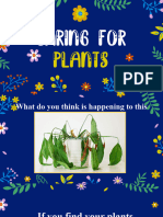 Q2 - L3.3 Caring For Plants