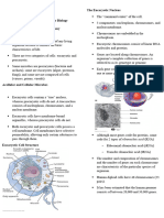 Chapter 3. Cell Structure and Taxonomy Reviewer