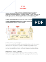 SP 1.1 Anatomia