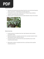 Download Manfaat lumut hati by Kevin Maryono SN70908330 doc pdf