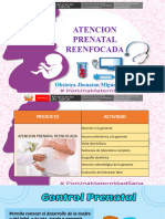 Atencion Prenatal Reenfocada