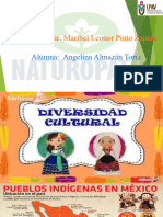 Div-Cult-Exp-Los Pueblos Indigenas en Mexico