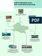 Infografía Region Orinoquia