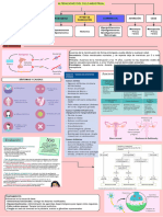 ALTERACIONES DEL CICLO MENSTRUAL - Drawio