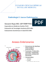 Placenta - Resumen de Las Clases - DR Rojas - UCE - FCM