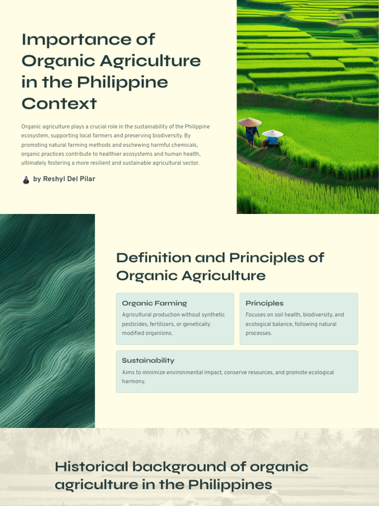Importance of Organic Agriculture in The Philippine Context | PDF