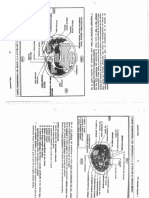 Anatomia B