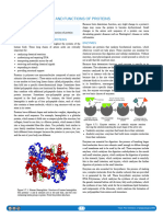 3.07: Proteins - Types and Functions of Proteins