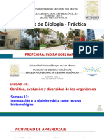 Practica de Laboratorio 13 - 2023-I