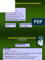 Fisiologia Digestiva Motilidad Intestino Delgado 5967