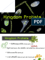 Kingdom Protista