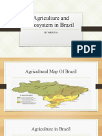 Agriculture and Ecosystem in Brazil