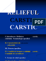 Proiect Relieful Carstic