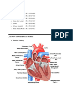 KLPK 1 Jantung & Pembuluh Darah. 1