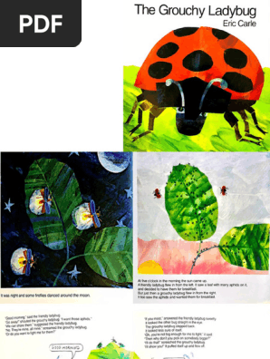 The Grouchy Ladybug