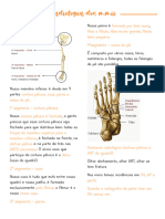 Radiologia Dos Mmii