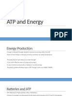 4.2 ATP and Energy