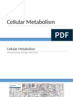 4.1 Cellular Metabolism