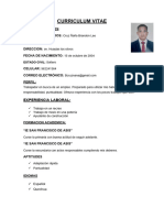 Curriculum Vitae .