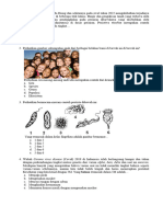 Biologi - Naskah Soal Us 2022