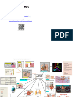 sistema-endocrino-mapa-mental